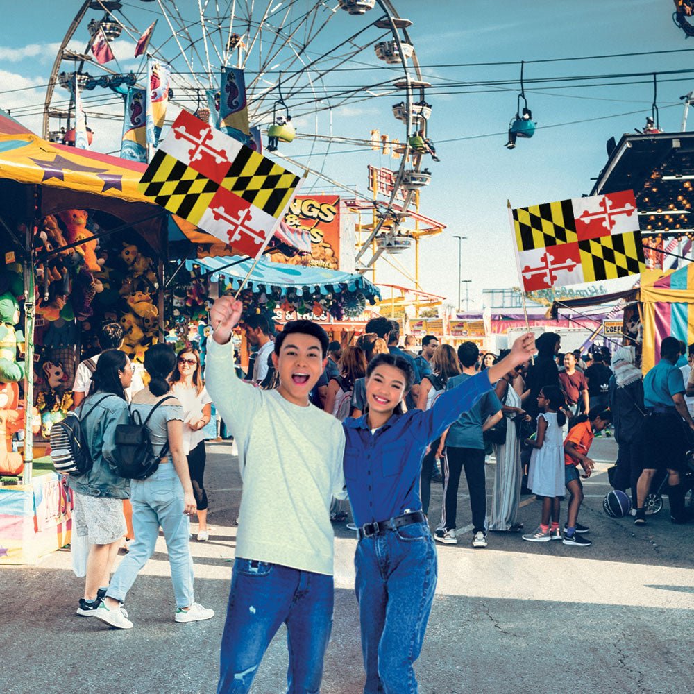 Maryland 12x18in Stick Flag - Flags Importer