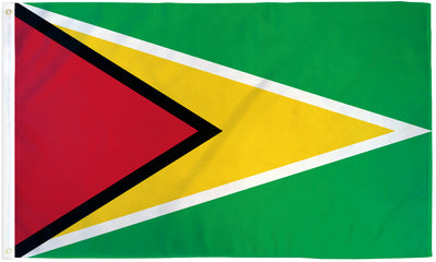 Guyana flag
