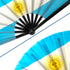 Argentina X-Large Hand Fan