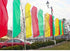 Customer Photo of Advertising Super Flags on Display