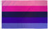 Omnisexual Flag 2x3ft Poly - Flags Importer