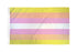 Pangender Flag 3x5ft Poly - Flags Importer