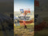 Texas 3x5ft DuraFlag