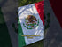Mexico Flag 3x5ft Poly