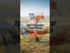 Texas UltraBreeze 3x5ft Poly Flag