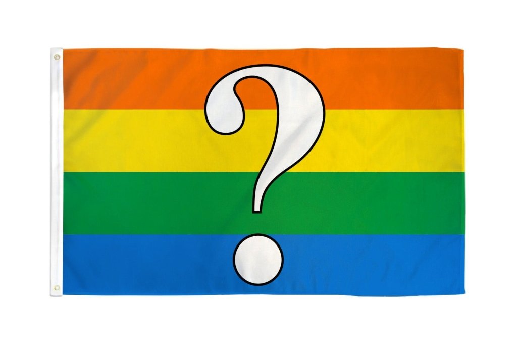 Questioning Flag 3x5ft | Flags Importer | Rainbow Pride Flag