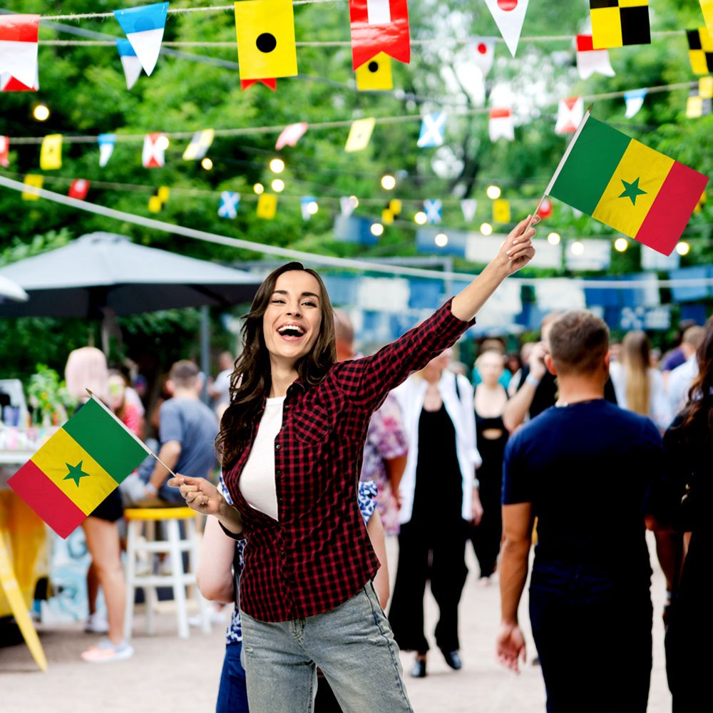 Senegal 12x18in Stick Flag - Flags Importer