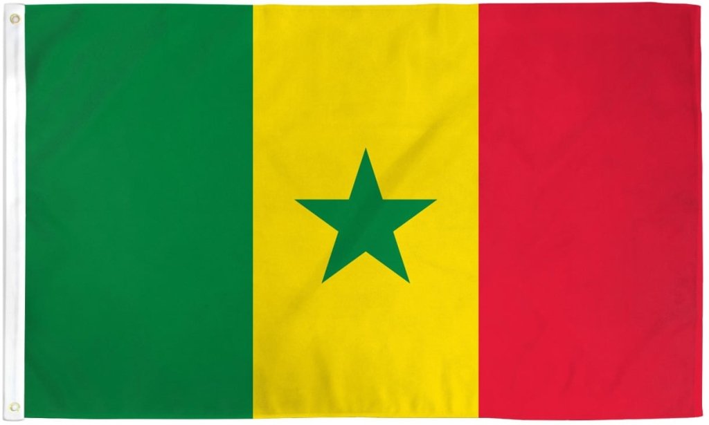 Senegal Flag 2x3ft Poly - Flags Importer