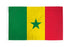 Senegal Flag 2x3ft Poly - Flags Importer