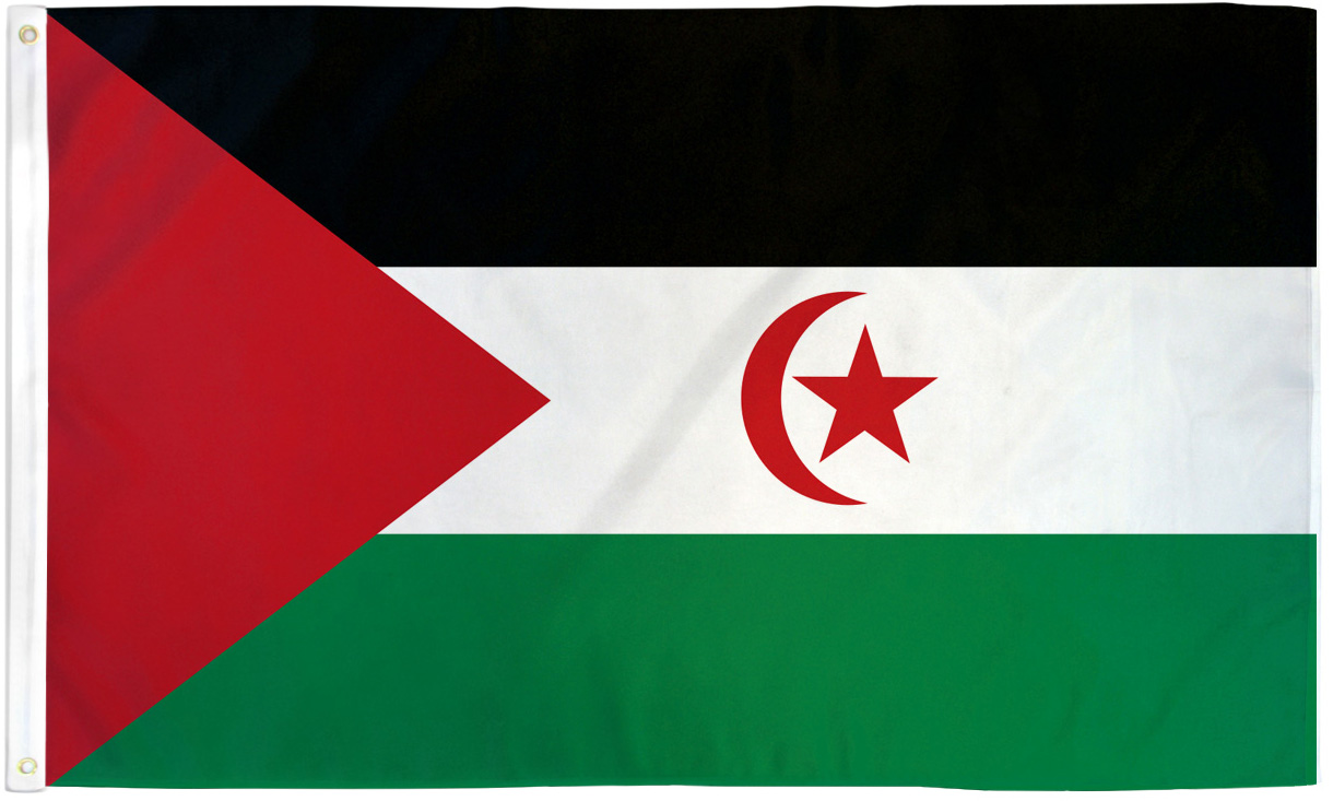 Western Sahara Flags