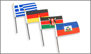 International 4x6in Stick Flags