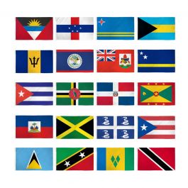 FI Set of 20 International Flags- 2x3ft