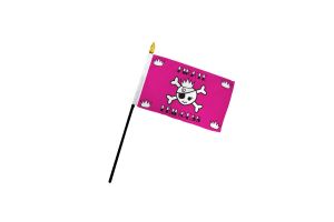 Pirate Princess 4x6in Stick Flag