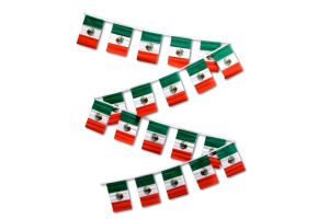 30ft String Flag Set of 20 Mexico Flags