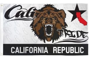 Cali Pride Flag 3x5ft Poly