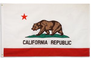 California Double-sided Embroidered Flag 3x5ft