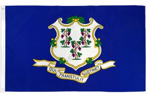Connecticut Flag 3x5ft Poly