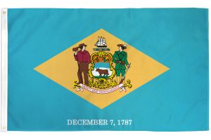 Delaware Flag 2x3ft Poly