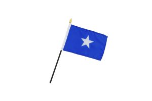 Bonnie Blue 4x6in Stick Flag