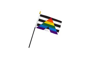 Gay Straight Alliance 4x6in Stick Flag