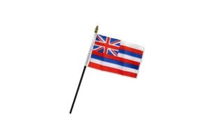 Hawaii 4x6in Stick Flag
