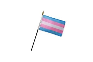 Transgender 4x6in Stick Flag