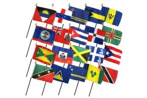 (4x6in) Set of 20 Caribbean Stick Flags
