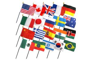 (4x6in) Set of 20 International Stick Flags
