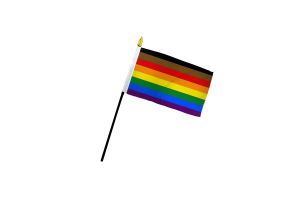 Philly Rainbow 4x6in Stick Flag