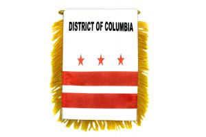 Washington DC Mini Banner