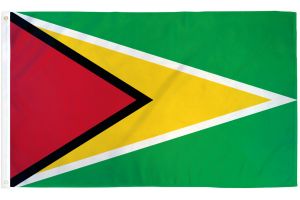 Guyana Flag 3x5ft Poly