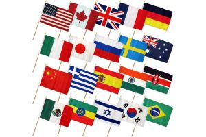 (12x18in) Set of 20 International Stick Flags