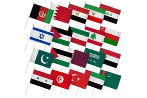 (12x18in) Set of 20 Middle East Stick Flags