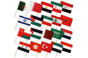 (12x18in) Set of 20 Middle East Stick Flags