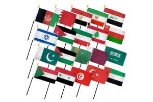(4x6in) Set of 20 Middle East Stick Flags