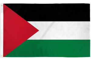 Palestine Flag 2x3ft Poly