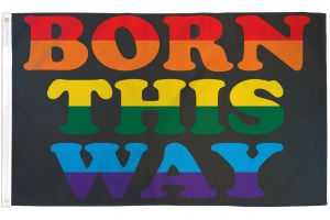 Born This Way Flag 3x5ft Poly 