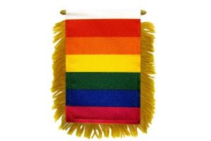 Rainbow Mini Banner