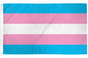 Transgender Flag 4x6ft Poly