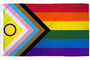 Inclusive Pride Flag 3x5ft Poly