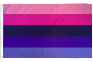 Omnisexual Flag 2x3ft Poly