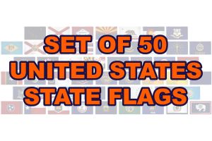 (2x3ft) Set of 50 State Flags