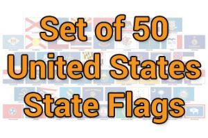 (4x6in) Set of 50 State Stick Flags
