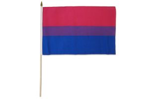 Bisexual 12x18in Stick Flag