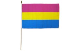 Pansexual  Printed Polyester Flag 2ft by 3ft