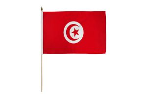 Tunisia 12x18in Stick Flag