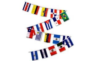30ft String Flag Set of 20 Latin American Country Flags