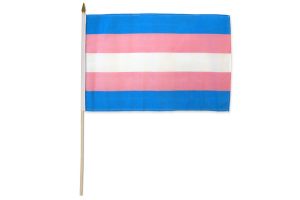 Transgender 12x18in Stick Flag