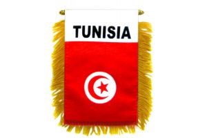 Tunisia Mini Banner