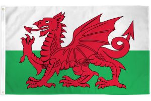 Wales Flag 3x5ft Poly